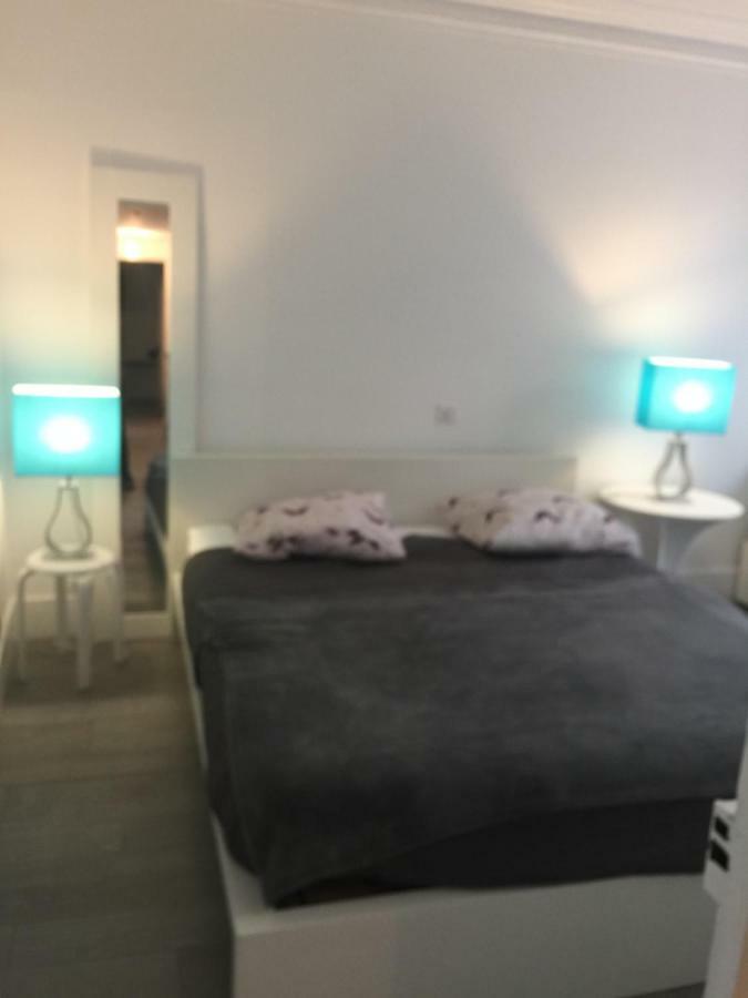 Apartment Le Jardin Darcy Liberte Hyper Centre Gare-ville Parking Public Payant Dans La Rue *