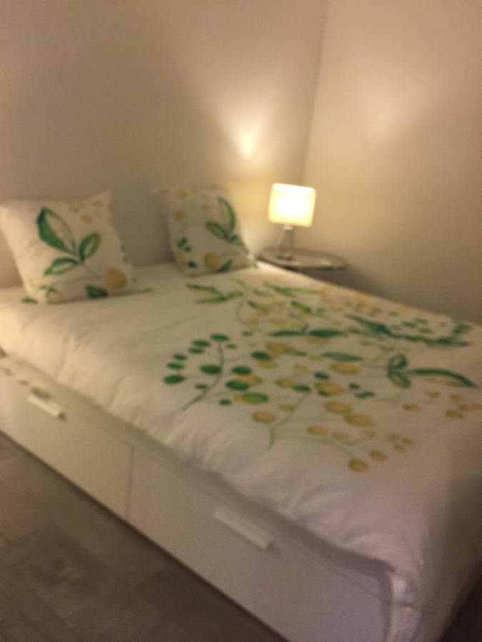 Le Jardin Darcy Liberte Hyper Centre Gare-ville Parking Public Payant Dans La Rue Apartment