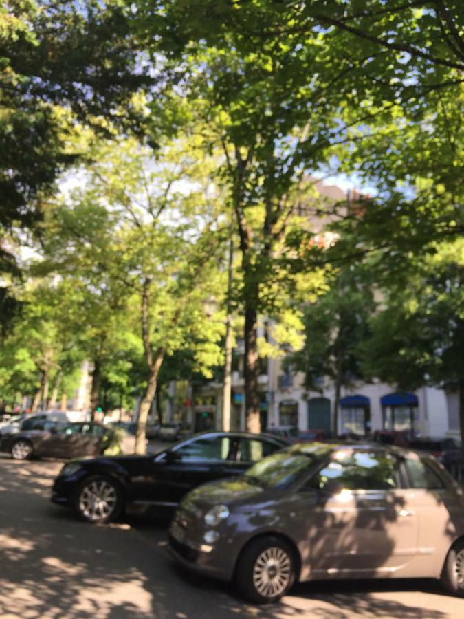 Le Jardin Darcy Liberte Hyper Centre Gare-ville Parking Public Payant Dans La Rue